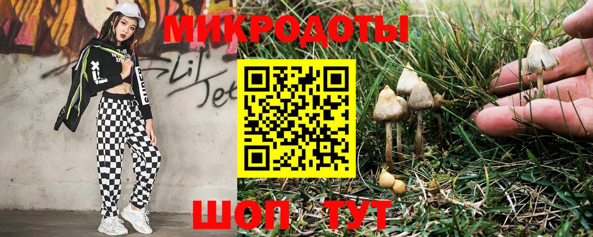наркота  Галлюциногенные грибы прущие грибы  Сланцы  Вход с VPN  Галлюциногенные грибы GOLDEN TEACHER 